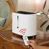 90% High Purity 6L Continuous Flow Oxygen Concentrator For Home Use - BE04