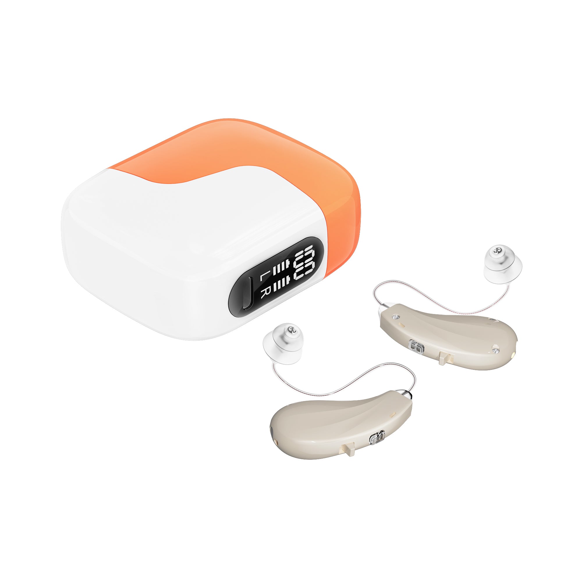 Fashionable 16-channel Digital RIC Hearing Aids —— CH313