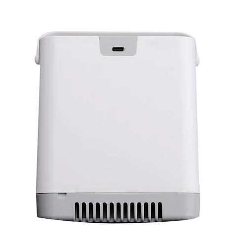 Mini Portable 1.5L Fixed Continuous Flow 4 Hours Internal Battery Oxygen Concentrator For Travel Use FYY-01