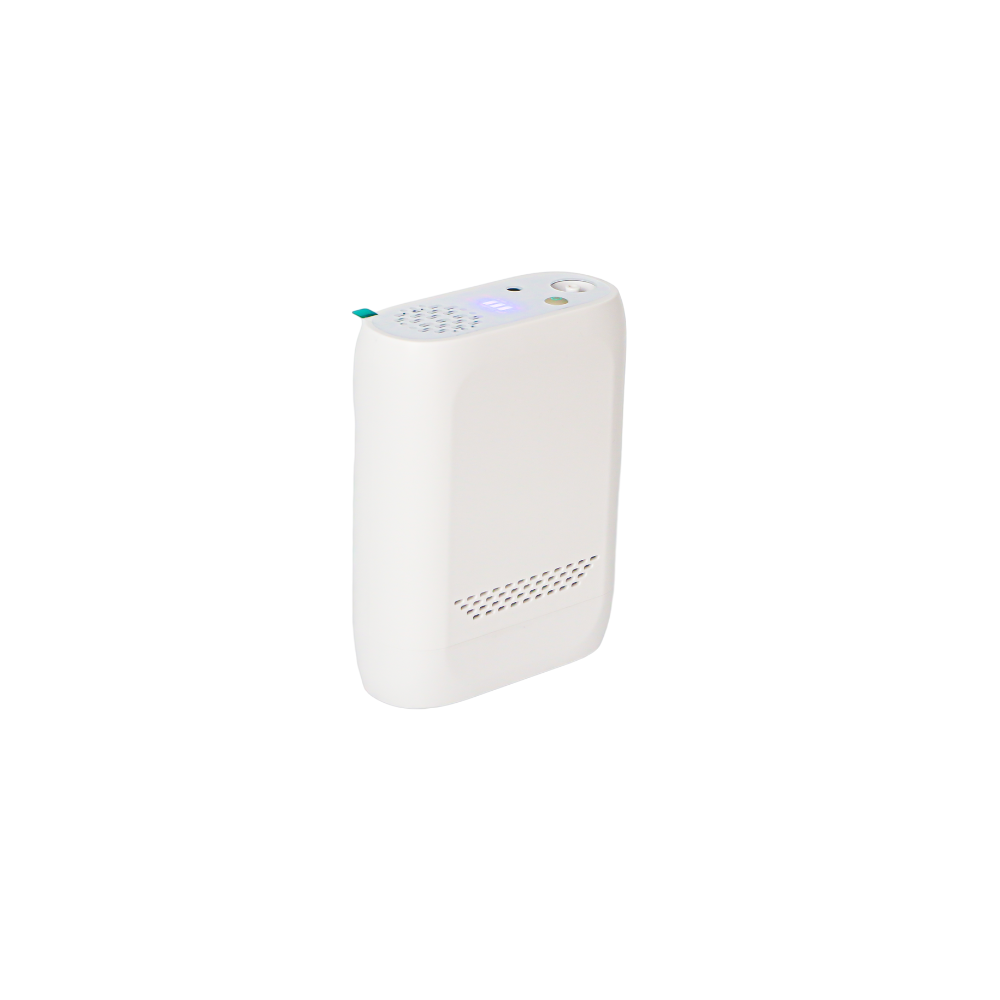 2026 2L/Min Continuous Flow Oxygen Concentrator For Outdoors - C-YS10-B